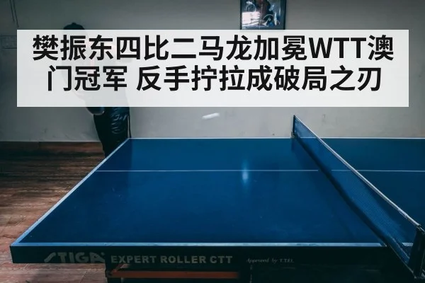 table tennis match intense rally